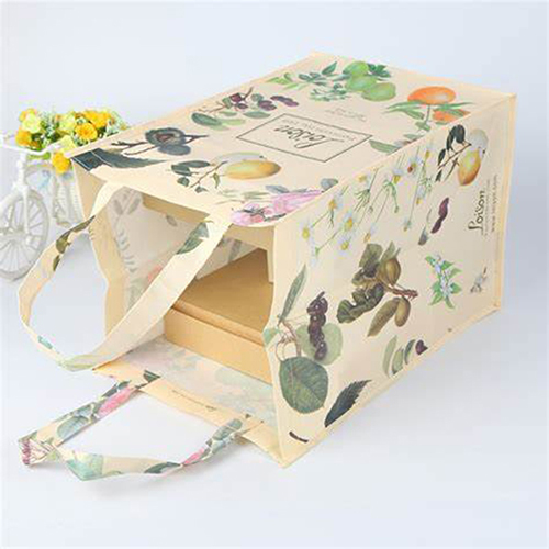 47-1-laminated nonwoven bag