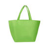 Promotional Non Woven Bag Reusable Carry Shopping Tote Non Woven Bag