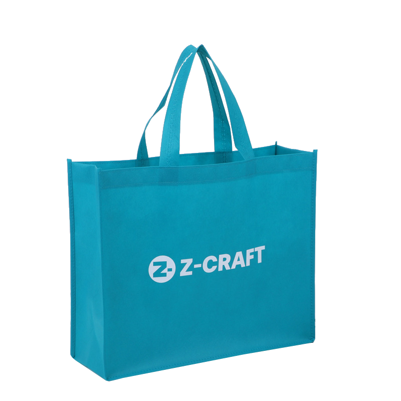 non woven bag (2)